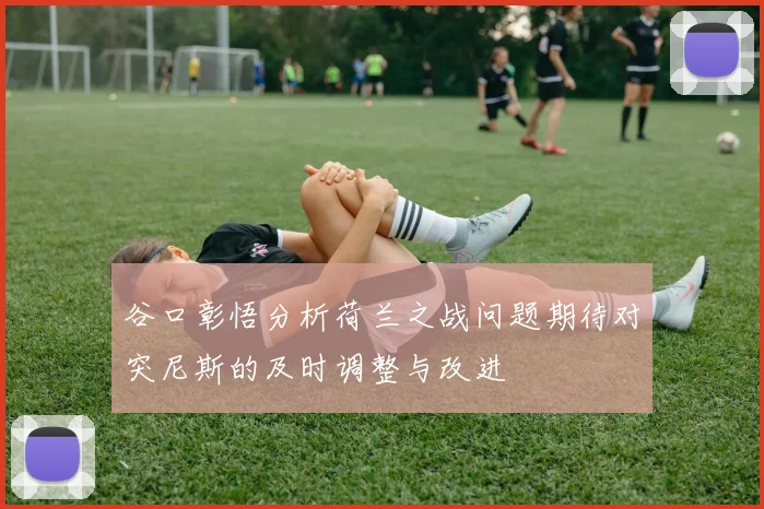 谷口彰悟分析荷兰之战问题期待对突尼斯的及时调整与改进